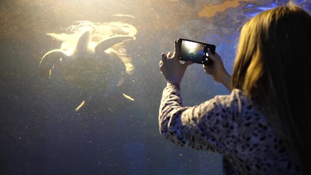 Girl holds phone takes pictures of turtle and fishes behind glass tube under water aquarium