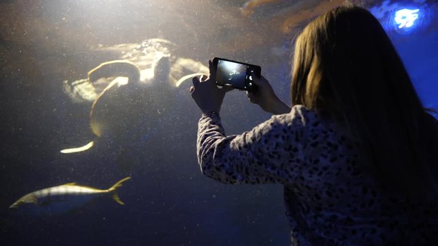 Girl holds phone takes pictures of fishes behind glass tube under water aquarium