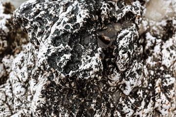 Natural background of stone texture