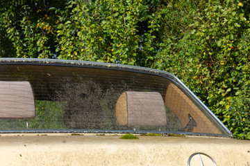 old weathered german famous brand car 2