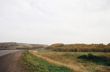 Fototapeta premium autumn