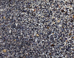 Background: sea sand with seashells, shells, pebbles close-up.