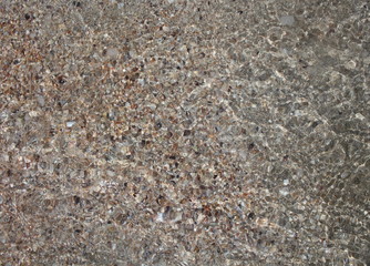 Background: sea sand with seashells, shells, pebbles close-up.