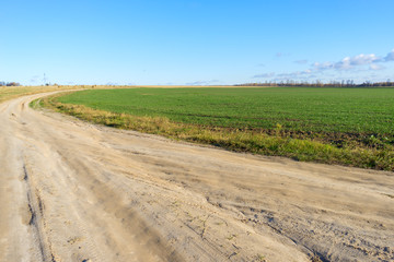 Fototapeta na wymiar Vanishing dirt road through vast farm field after harvesting with hay cocks 