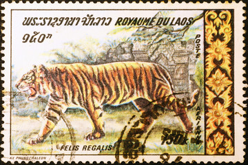 Tiger on postage stamp of Laos