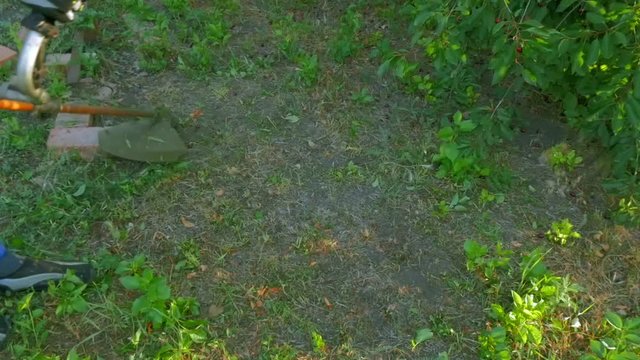 Man walks with lawn mower and mows grass at sunny summer day
