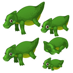 Nice set of waterfowl animated animal isolated on white background. Vector illustration.