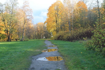 лужицы осенью золотой