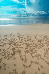 Empty sea and beach background with copy space Phuket, Thailand.