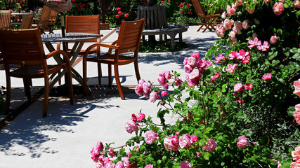 Fototapeta na wymiar Scenery of the cafe terrace of the city in which roses flower bloom