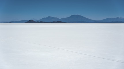 Salar de Uyuni, Bolivia - South America seen from the Incahuasi Island (Isla del Pescado-Fish Island)