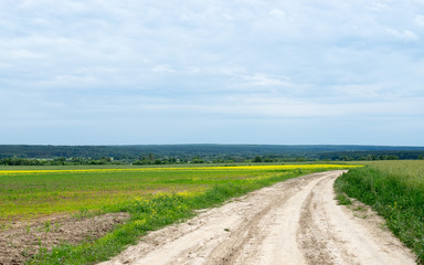 Vanishing dirt road through meadow
