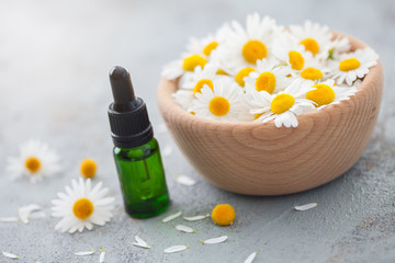 essential oil with camomile flowers
