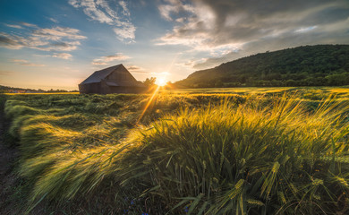 Old Shack in the Field at Sunset