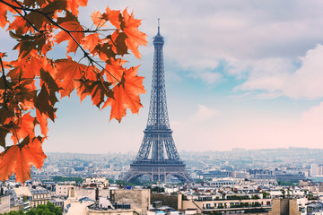 Paris red Maple and Eiffel Tower autumn leaves in fall Day