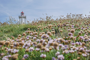 Beautiful landscape and scenic area of Belle-Ile-en-mer with lighthouse at Pointe des Poulains,...