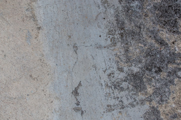 Cement floor in garden