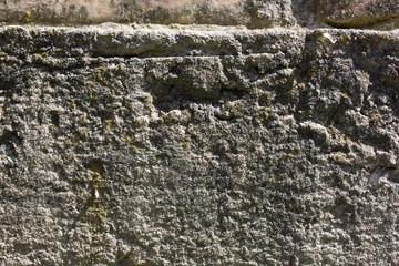 Concrete stone wall with green moss spots on it in the sunny lights. Old texture background.