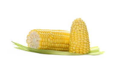 Corn cob slices isolated on white background