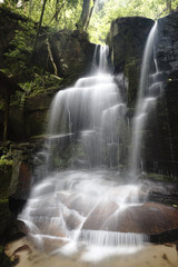 Fototapeta premium 青葉の滝