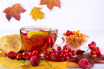 Autumn healthy beverages concept. Cup of tea with autumn berries sea buckthorn,  viburnum, rose hip, rowan and fall leaves. Drink with vitamin c