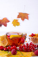 Autumn healthy beverages concept. Cup of tea with autumn berries sea buckthorn,  viburnum, rose hip, rowan and fall leaves. Drink with vitamin c