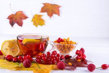 Autumn healthy beverages concept. Cup of tea with autumn berries sea buckthorn,  viburnum, rose hip, rowan and fall leaves. Drink with vitamin c
