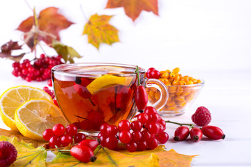 Illness concept: Cup of tea with autumn berries sea buckthorn,  viburnum, rose hip, rowan and fall leaves. Drink with vitamin c