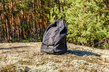 Backpack on a ground in a coniferous forest