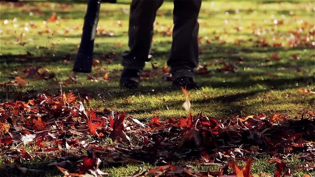 Worker Cleaning the Leaves with a Leaf Blower.