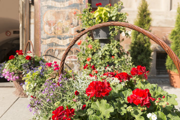 Naklejka premium Polen, Breslau, altes Rathaus, der Schweidnitzer Keller