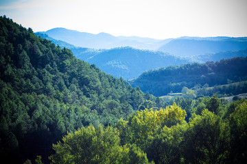 Fototapeta premium Lerida, Spain; October 04, 2017: Forests of the Picos de Europa