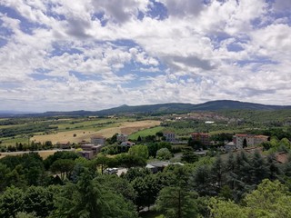 Obraz premium Natura urbana