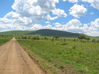 Fototapeta na wymiar Vanishing dirt road against mountain background. Serengeti National Park, Tanzania, Africa. 