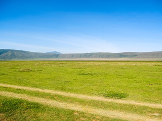 Dirt road in huge Ngorongoro caldera (extinct volcano crater) against mountain and blue sky background. Great Rift Valley, Tanzania, East Africa.
