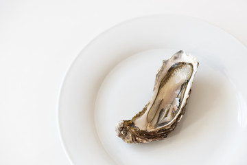 Fresh oyster. Raw fresh oyster is on white round plate, image isolated, with soft focus. Restaurant delicacy. Saltwater oyster.