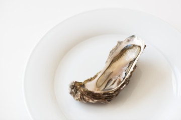 Fresh oyster. Raw fresh oyster is on white round plate, image isolated, with soft focus. Restaurant delicacy. Saltwater oyster.