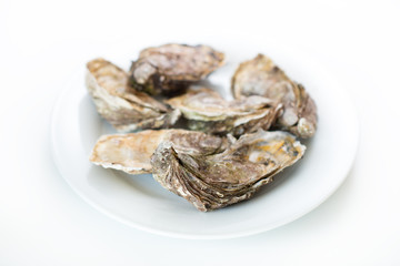 Fototapeta na wymiar Fresh oysters. Raw fresh oysters on white round plate, image isolated, with soft focus. Restaurant delicacy. Saltwater oysters.