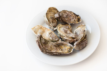 Fototapeta na wymiar Fresh oysters. Raw fresh oysters on white round plate, image isolated, with soft focus. Restaurant delicacy. Saltwater oysters.