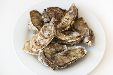 Fresh oysters. Raw fresh oysters on white round plate, image isolated, with soft focus. Restaurant delicacy. Saltwater oysters.