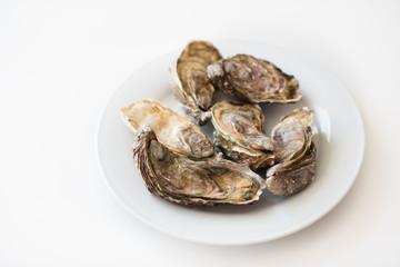 Fresh oysters. Raw fresh oysters on white round plate, image isolated, with soft focus. Restaurant delicacy. Saltwater oysters.