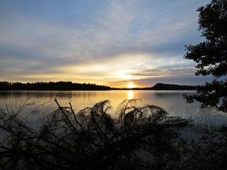 Fallen Tree at Sunset Over Beautiful Lake with Cloudy Sky in the background