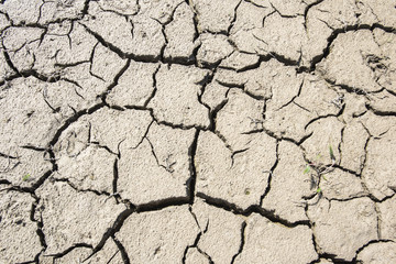 Dürre und Trockenheit wegen Wassermangel
