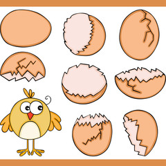 Fototapeta premium Chicken and eggs broken set digital elements 