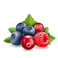 Blueberry, raspberry and cranberry Sweet forest berry. 3d vector Realistic illustration