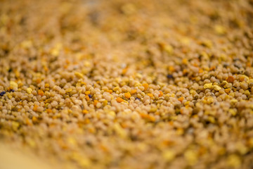 close uo, detail of bee pollen 