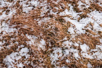 matière texture nature herbe sèche jaune neige froid sol tourbière terre végétal