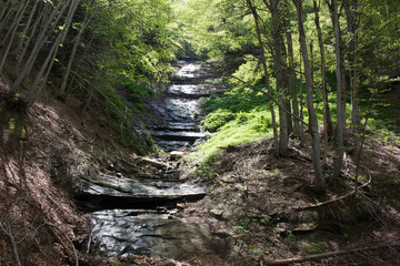 Pale di San martino di castrozza 