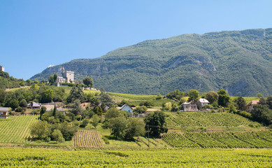 Vignobles de Savoie à Chignin