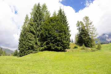 Pale di San martino di castrozza 